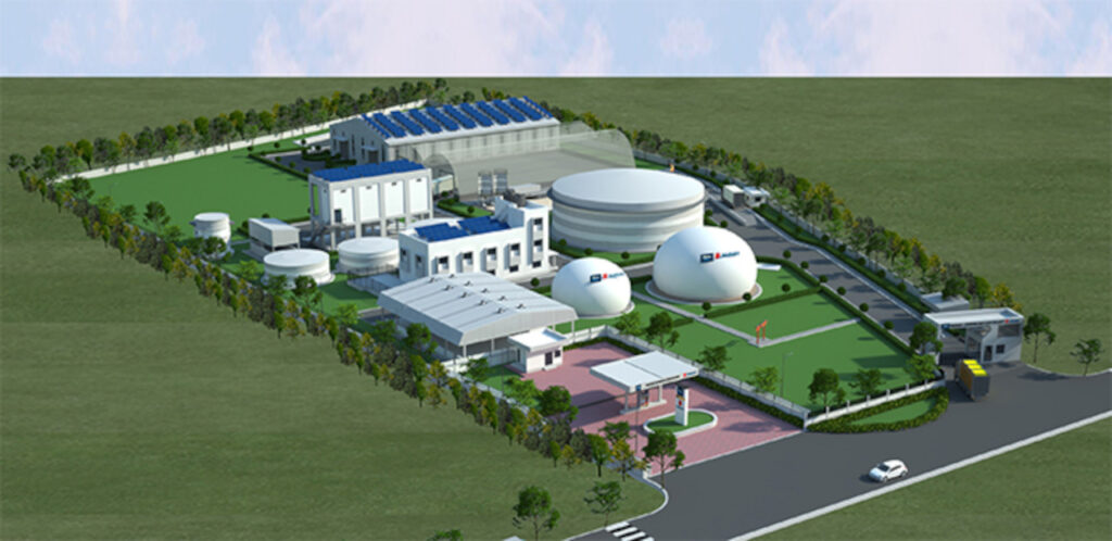 2025 Nov 1 600 am SUZUKI 21 TNPH