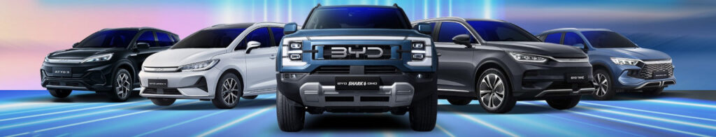 2025 Nov 13 600 am BYD 5 TNPH