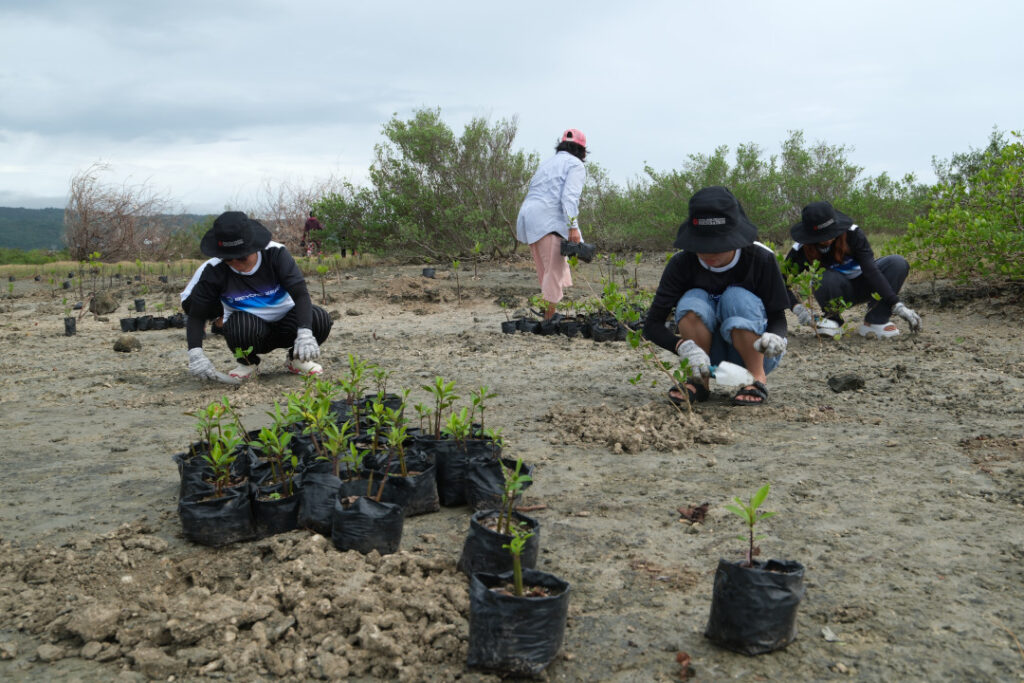2025 Dec 5 600 am TOYOTA 2 TNPH