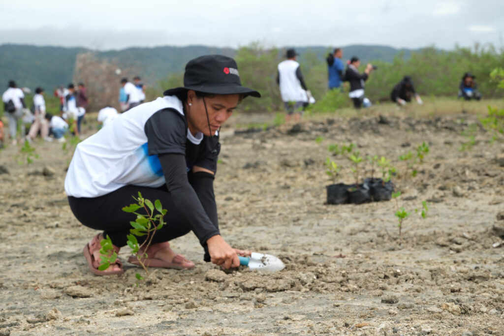 2025 Dec 5 600 am TOYOTA 5 TNPH