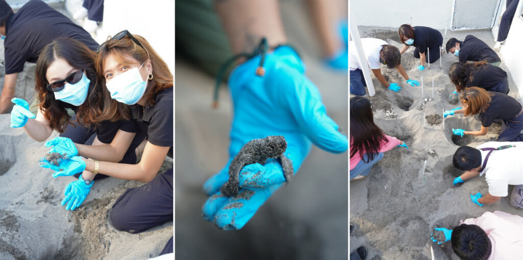 2026 Feb 10 600 am SUZUKI 10 TNPH